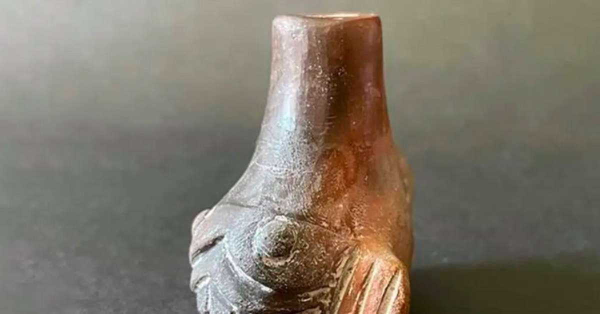 Apitos astecas em rituais de sacrifício humano revelados