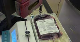 Doação de Sangue: Uma Ação Solidária que Salva Vidas