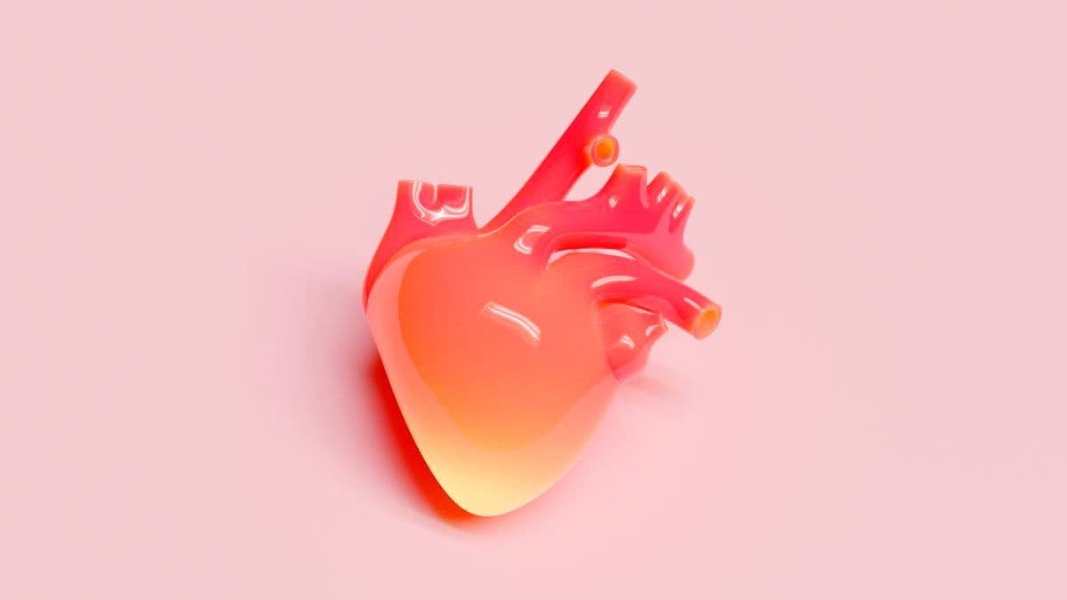 Adesivo inovador com células-tronco melhora saúde cardíaca