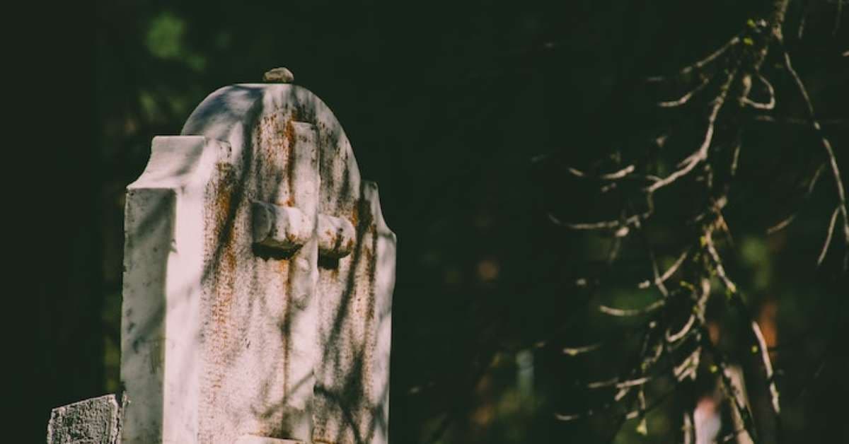 Startup congela corpos para reanimação futura