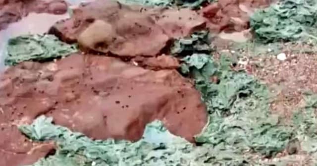 Descobrindo as Rochas de Plástico na Ilha da Trindade