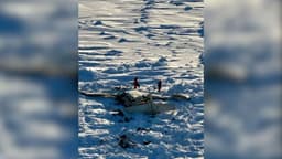 Aviação: Guarda Costeira dos EUA localiza avião no Alasca