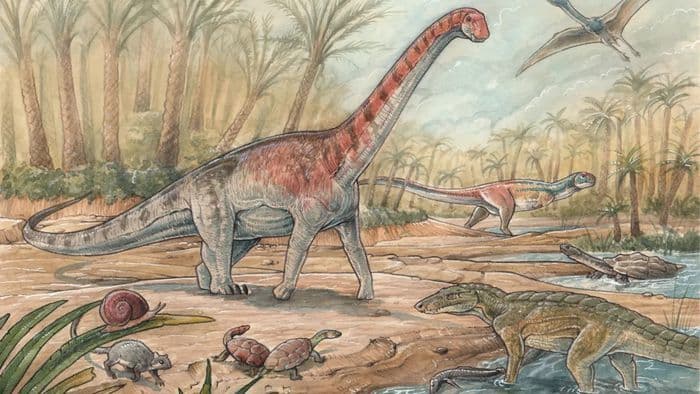 Cientistas descobrem nova espécie de titanossauro na Patagônia