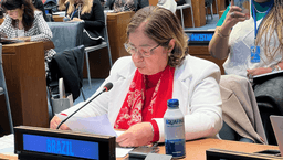 Brasil reafirma compromisso com os direitos das mulheres