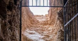 Descoberta histórica de tumba de faraó no Egito