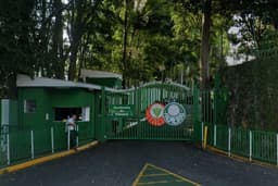 Palmeiras defende gramado sintético contra críticas de jogadores