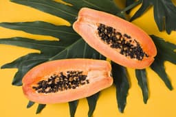 Sementes de Mamão: Benefícios Desconhecidos para Saúde