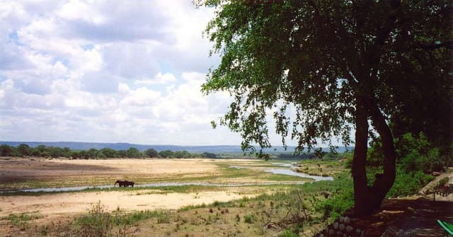 Trem Abandonado se Torna Hotel no Parque Kruger