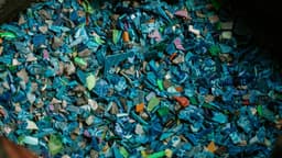 Perigos dos microplásticos à saúde e meio ambiente