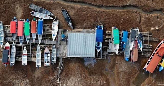 Brasil Enfrenta Queda Alarmante em Áreas Alagadas