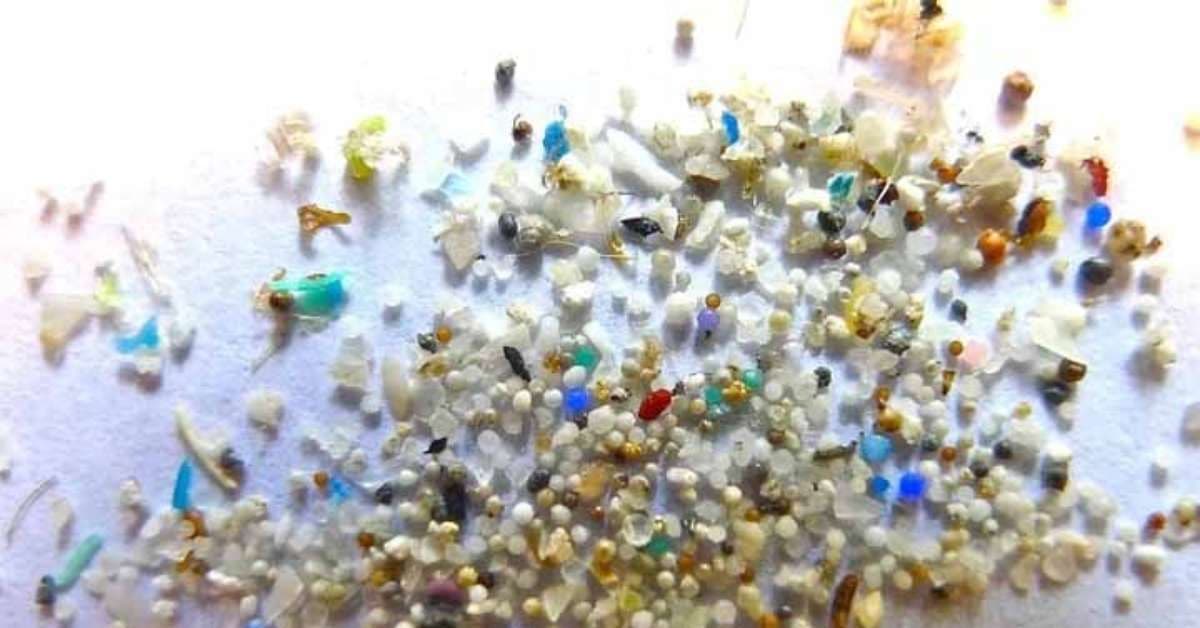 Fragmentos de microplástico encontrados no cérebro humano