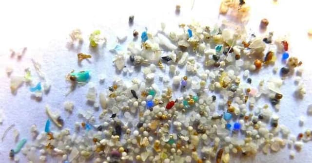 Fragmentos de microplástico encontrados no cérebro humano