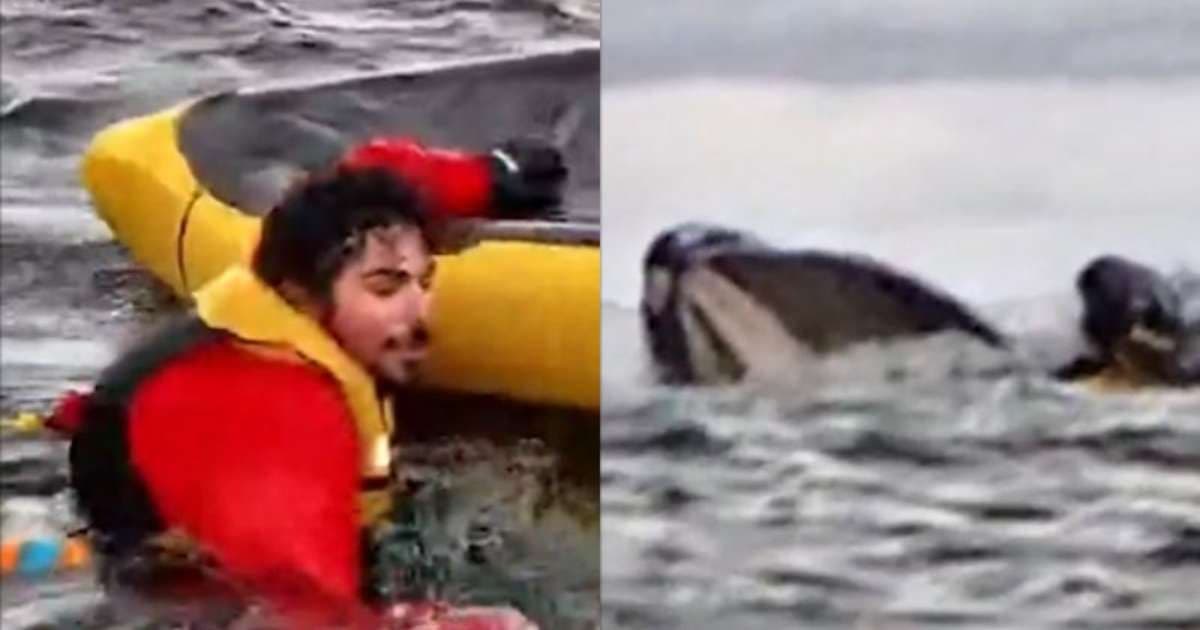 Aventura de jovem na água termina com encontro inusitado