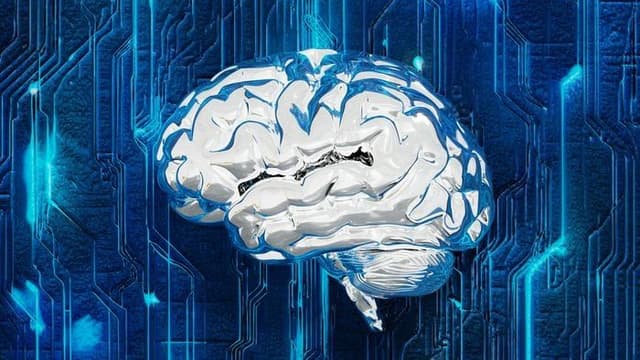 Computador Inovador Utiliza Neurônios Humanos