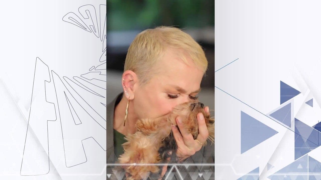 Xuxa estreia série sobre adoção de animais no Fantástico
