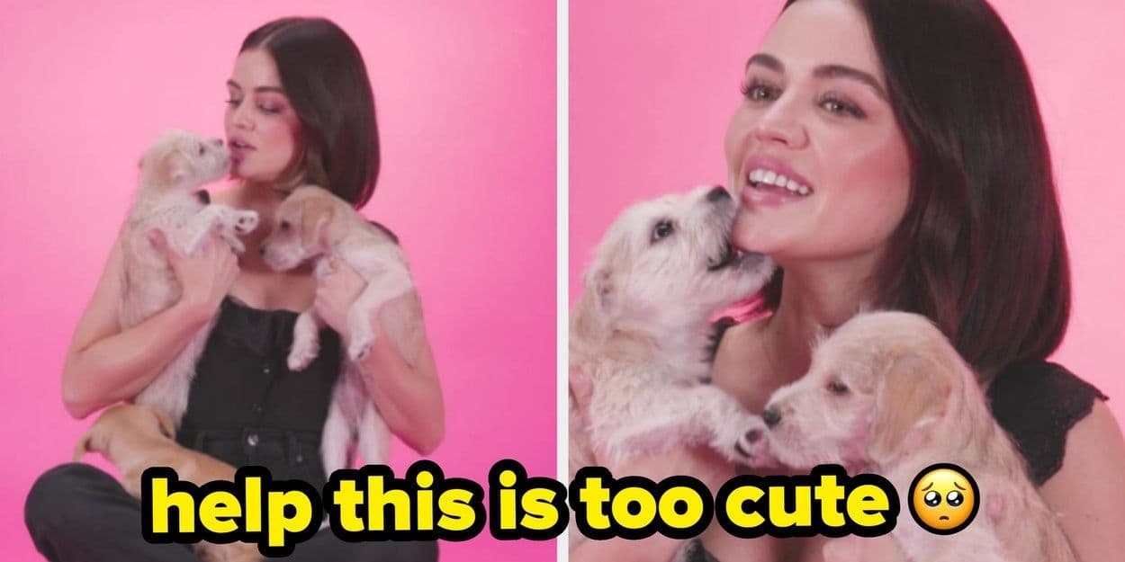 Lucy Hale compartilha segredos da carreira com filhotes