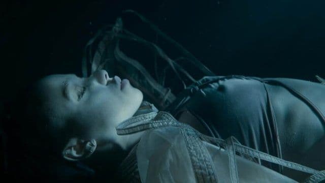 Nosferatu no Streaming: Uma Nova Vida para o Terror