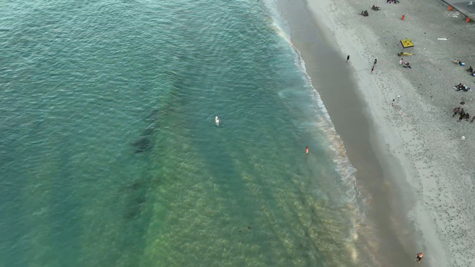 Rio de Janeiro se transforma no Caribe com águas cristalinas