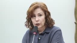 STF Julga Porte Ilegal de Arma de Carla Zambelli