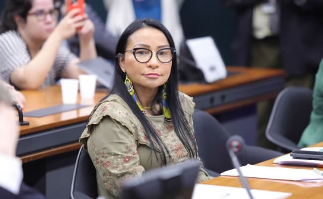 Deputada do PL pode perder mandato por decisão do STF