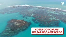 Corais da Costa dos Corais em risco de extinção