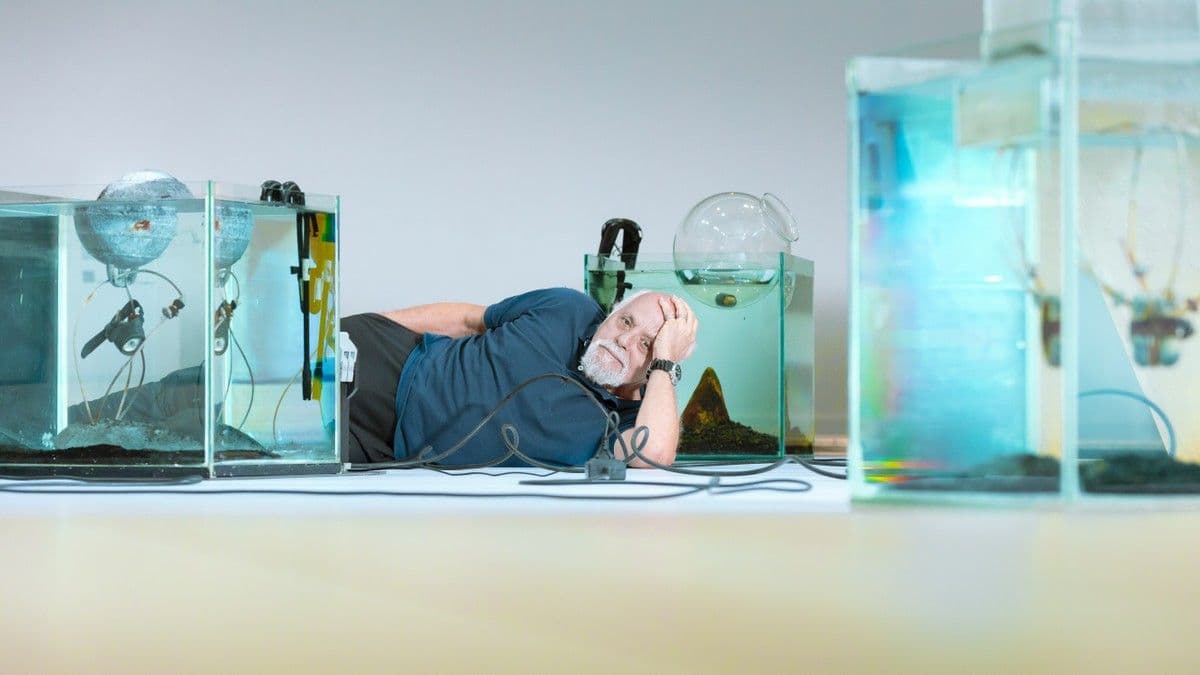 Artur Barrio completa 80 anos e renova sua arte