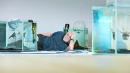 Artur Barrio completa 80 anos e renova sua arte