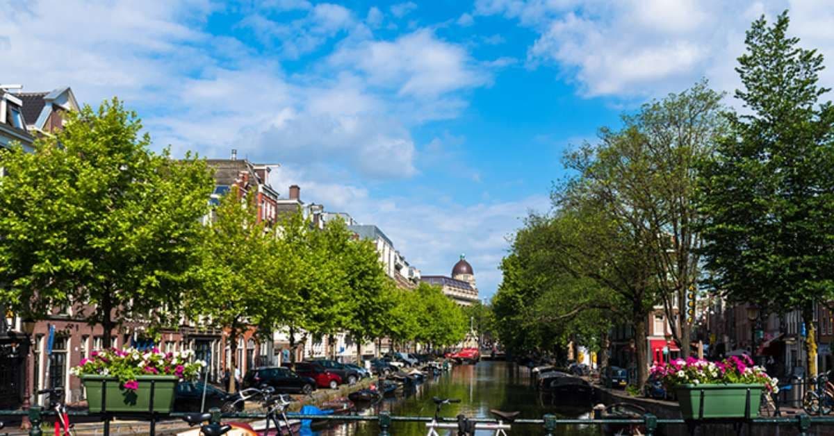 Holanda elimina abandono de cães nas ruas