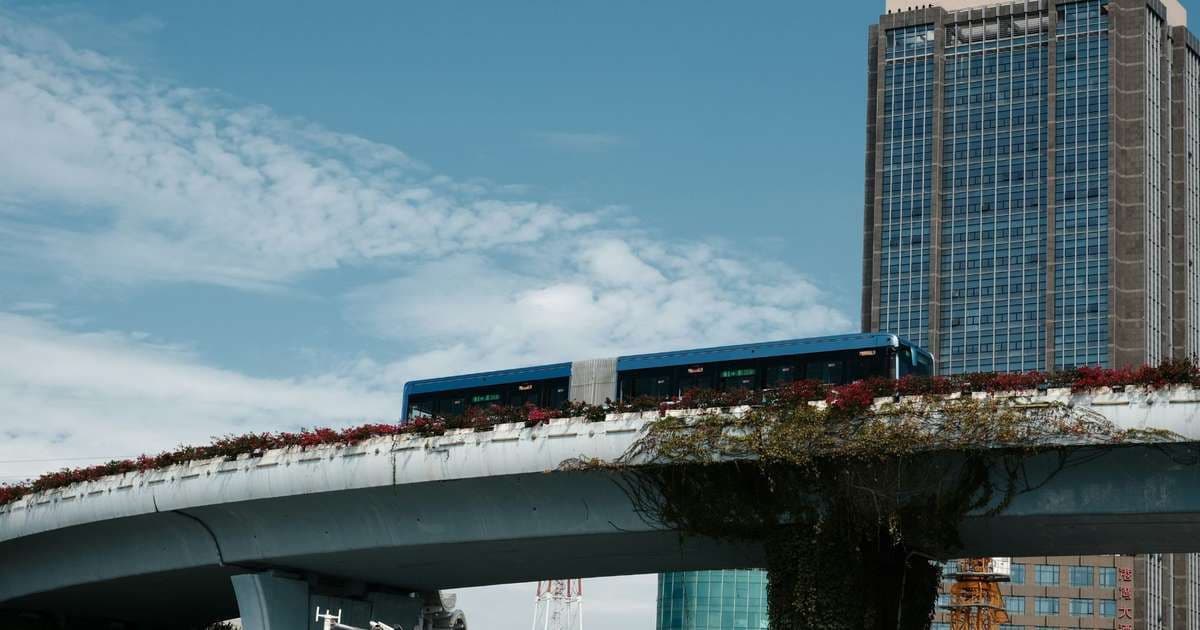 Tragédia na Guatemala: Ônibus cai e deixa 51 mortos