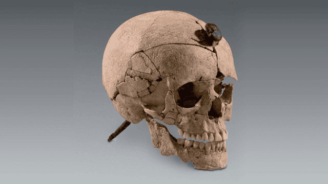 Ritual de decapitação na Espanha revela complexidade histórica