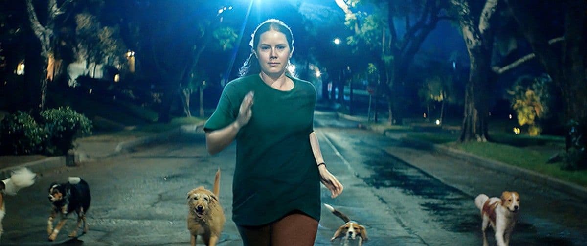 Filme Canina traz à tona desafios da maternidade