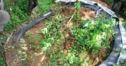 Anel de 500 kg cai no Quênia e causa pânico