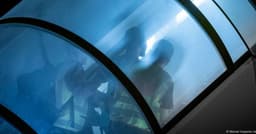 Falha em repatriação de refugiados pode unir oposição alemã