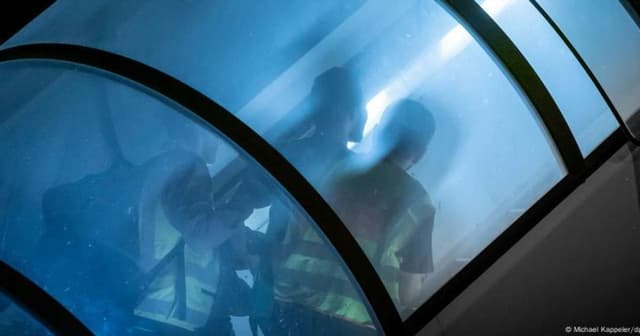 Falha em repatriação de refugiados pode unir oposição alemã