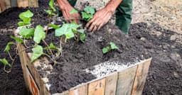 DMLU Avança em Conscientização Ambiental em Porto Alegre