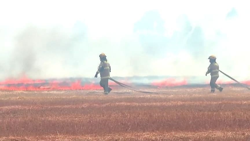 Incêndios florestais no Chile causam mortes e destruição