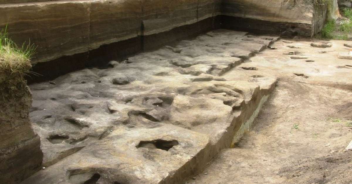 Descoberta de Pegadas Humanas de 300 Mil Anos