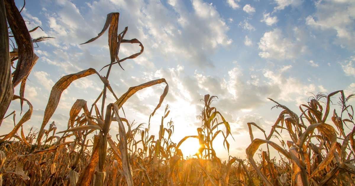 Nova fase climática pode ameaçar o planeta