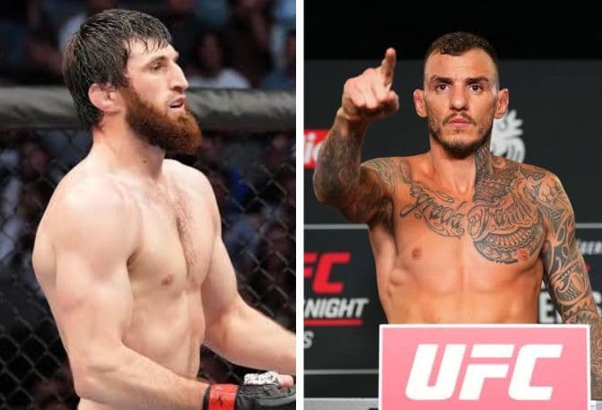 Teoria de Moicano sobre recusa de Ankalaev à aposta