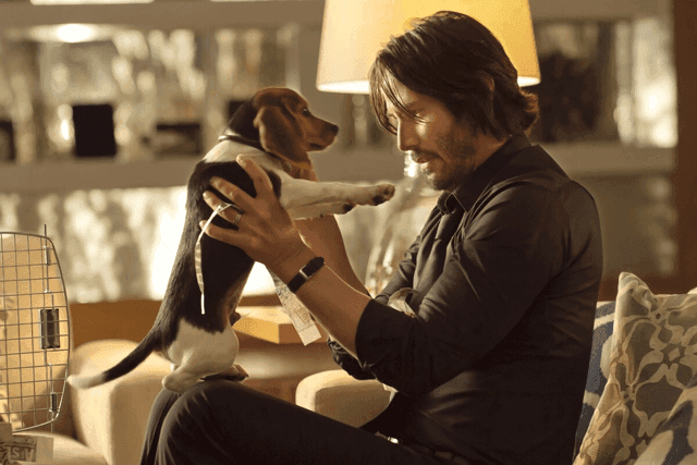 A Origem da Vingança em John Wick