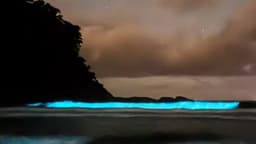 Praia de São Paulo exibe fenômeno de mar fluorescente
