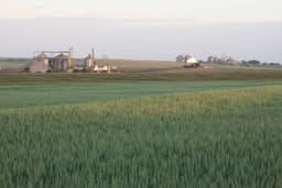 Governo considera isenção de impostos sobre trigo e óleo