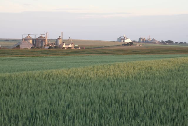 Governo considera isenção de impostos sobre trigo e óleo