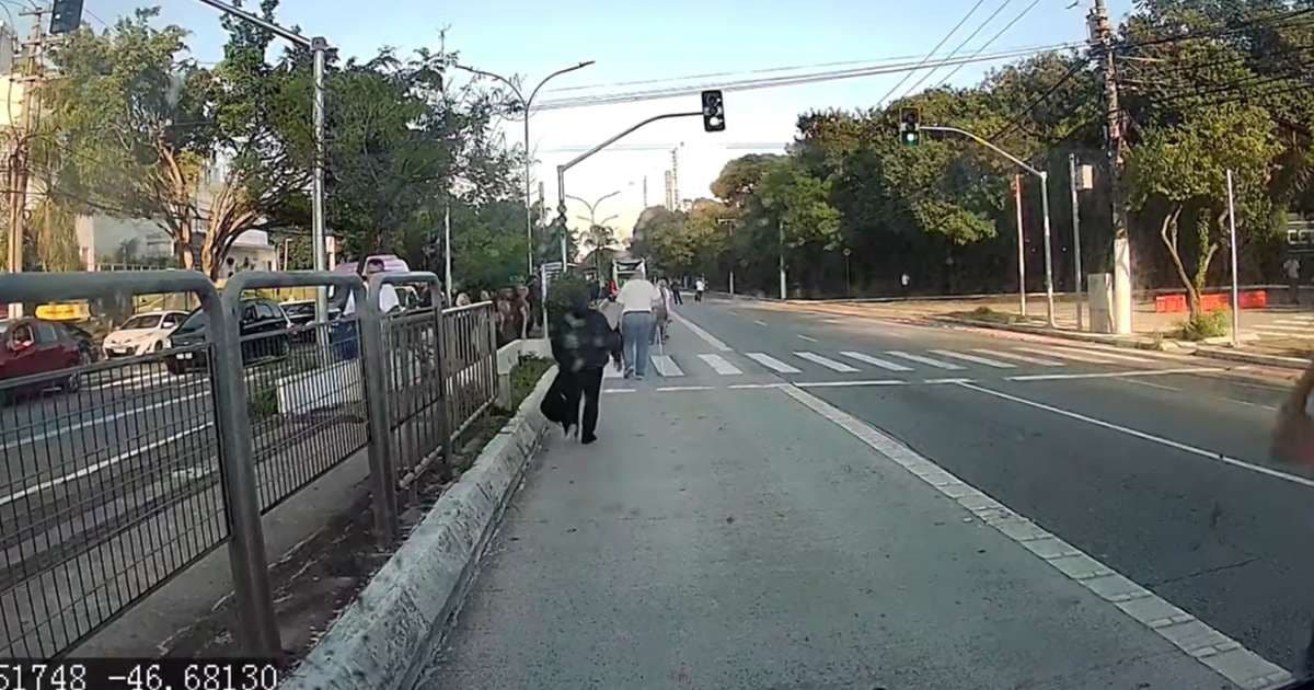 Avião colide com ônibus e causa desespero em SP