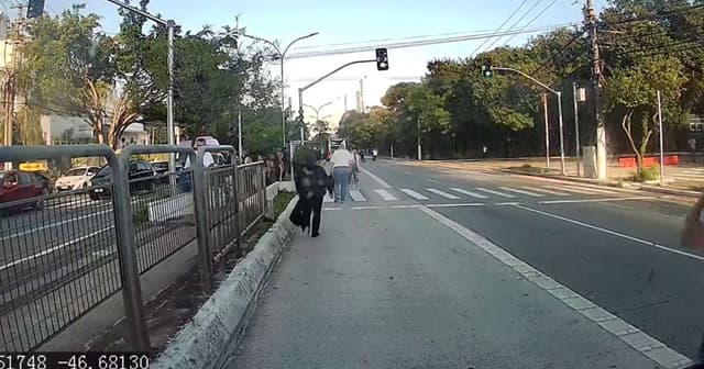 Avião colide com ônibus e causa desespero em SP