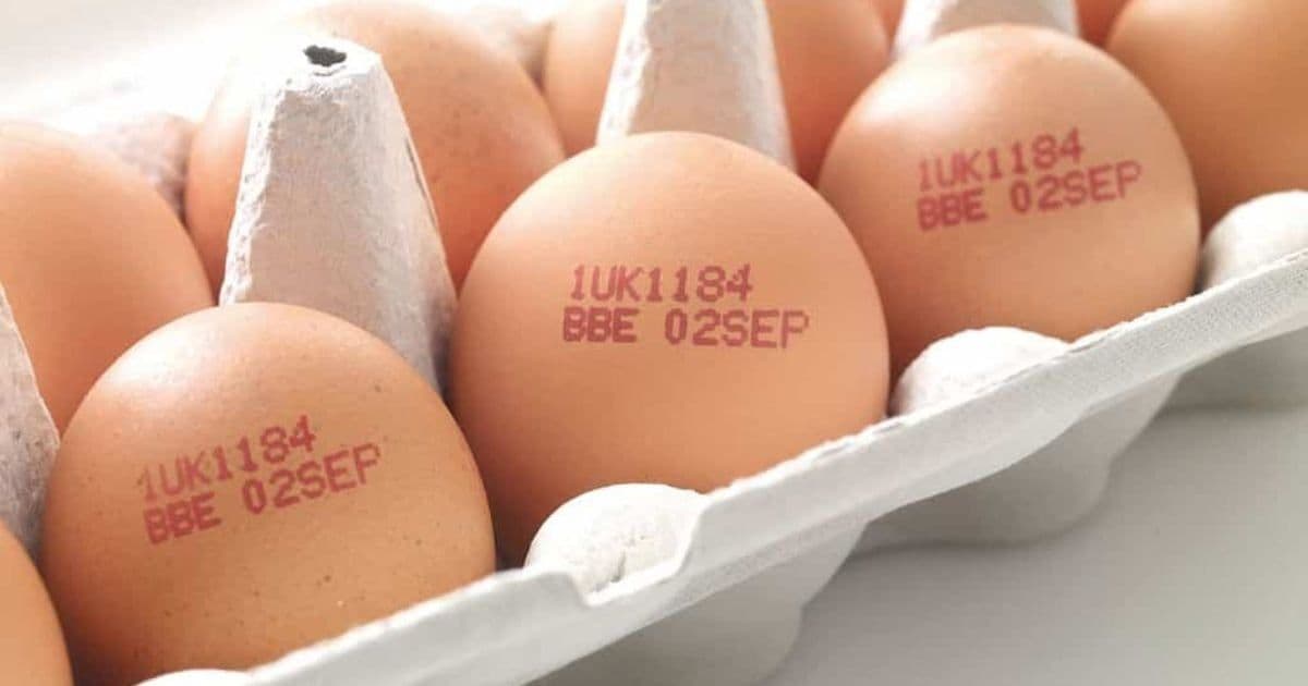 Revogação do Carimbo em Ovos pelo Ministério da Agricultura