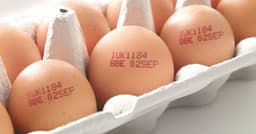 Revogação do Carimbo em Ovos pelo Ministério da Agricultura