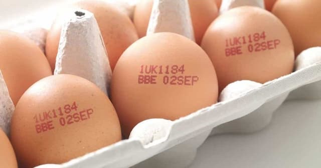 Revogação do Carimbo em Ovos pelo Ministério da Agricultura