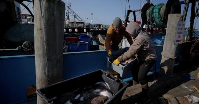 Congelamento Regulatório de Trump Afeta Indústria Pesqueira dos EUA