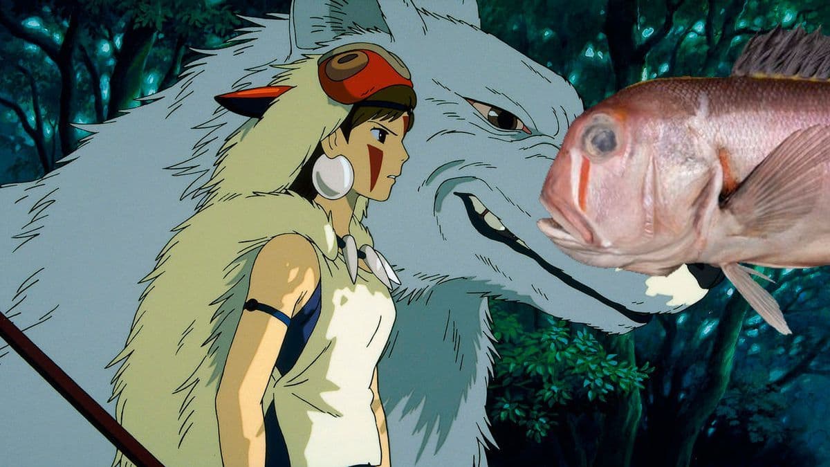 Nova espécie de peixe homenageia Princesa Mononoke